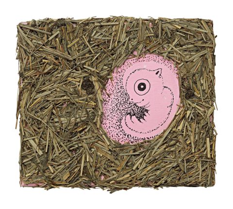 Imago Mundi Collection - Gabríela Friðriksdóttir - Birth of
