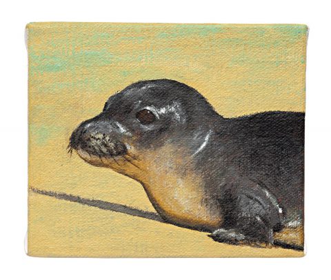 HAWAIIAN SEALS様 リクエスト プラナロム 5点 まとめ商品 lisa_shiroma_front_hawaii-